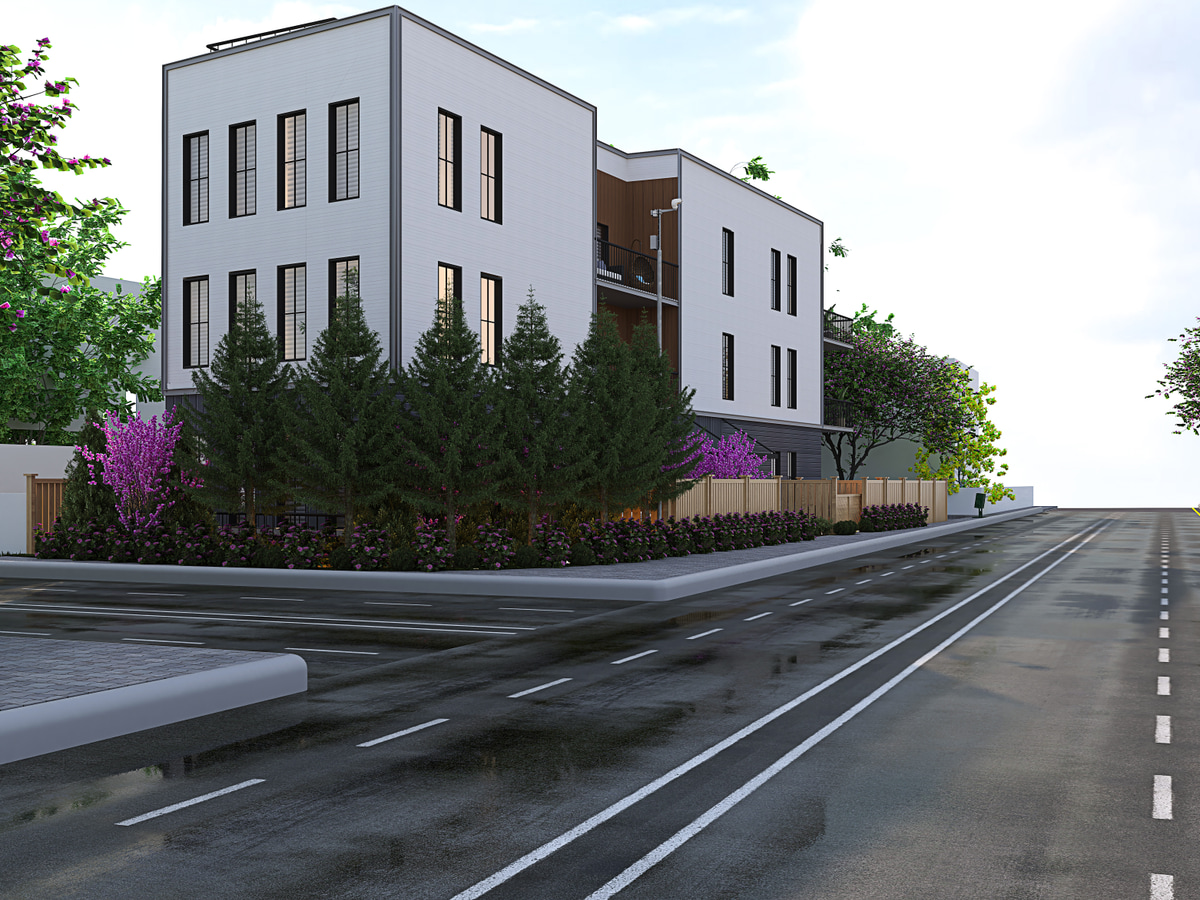 Street-level view of a white contemporary residence with planted borders